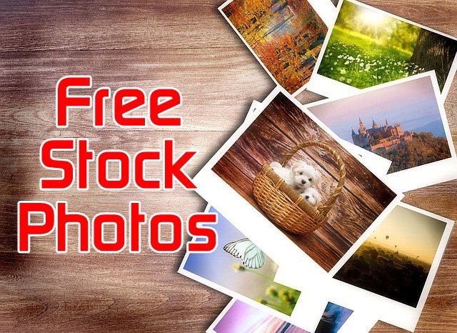Free Stock Photos